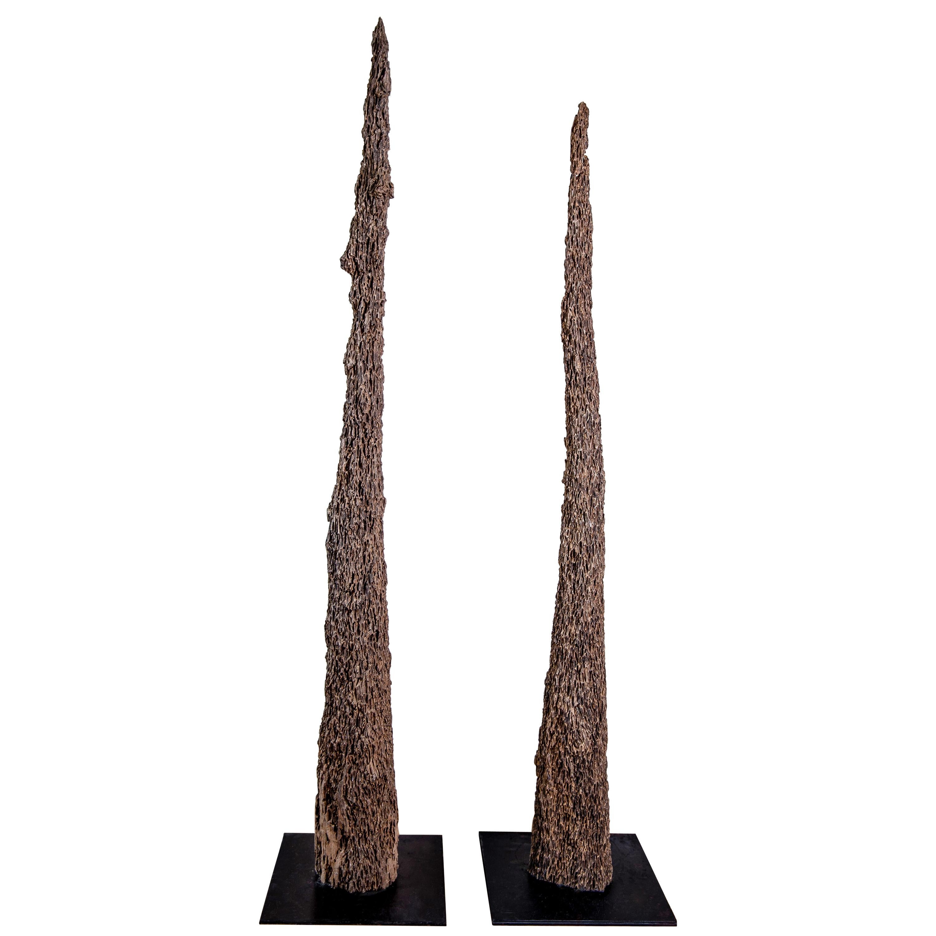 Pair of Eroded Cedar Mussel Poles