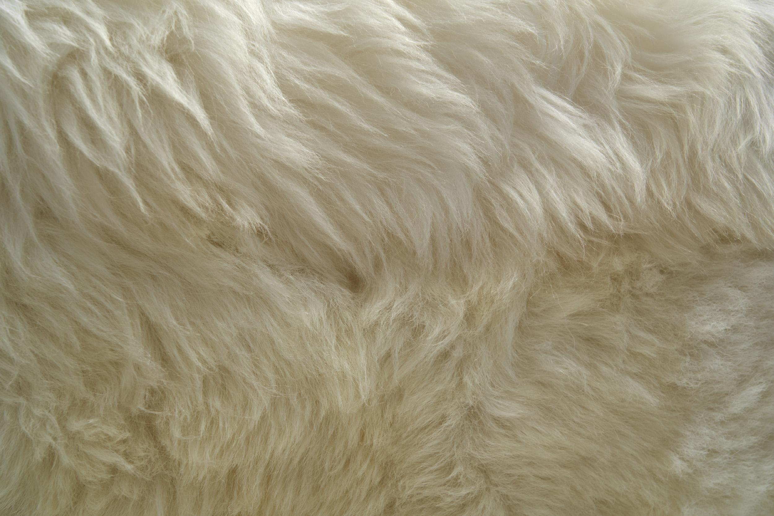 Paire de fauteuils européens en peau de mouton blanche, Europe 20ème siècle en vente 6