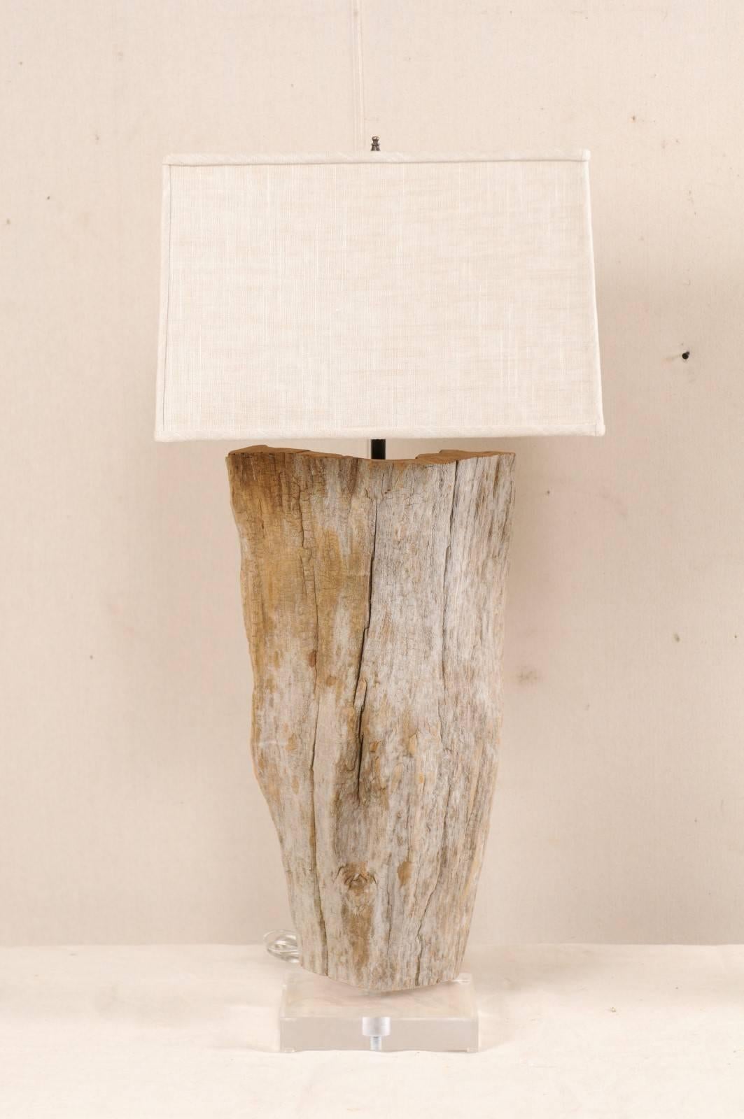 driftwood lamps