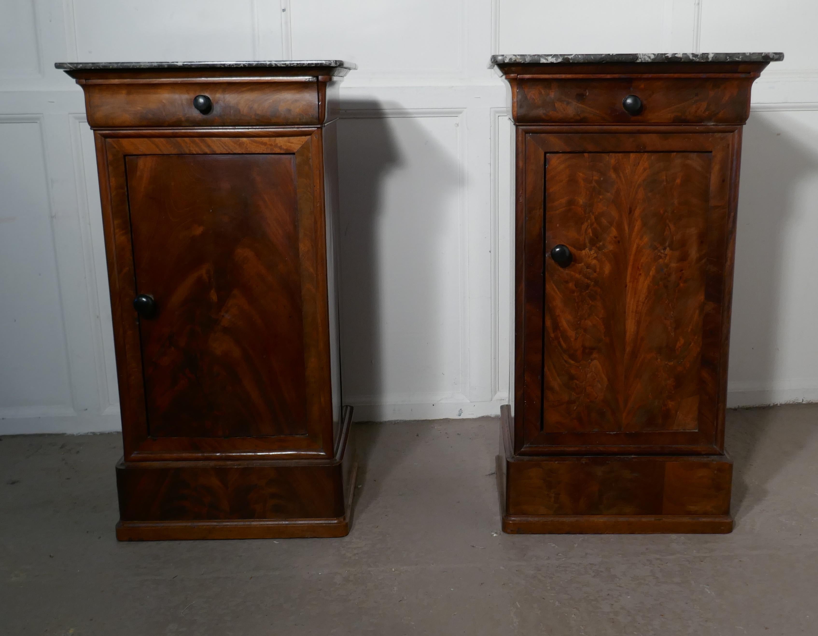 Victorian Pair of Figured Mahogany Bedside Cupboards