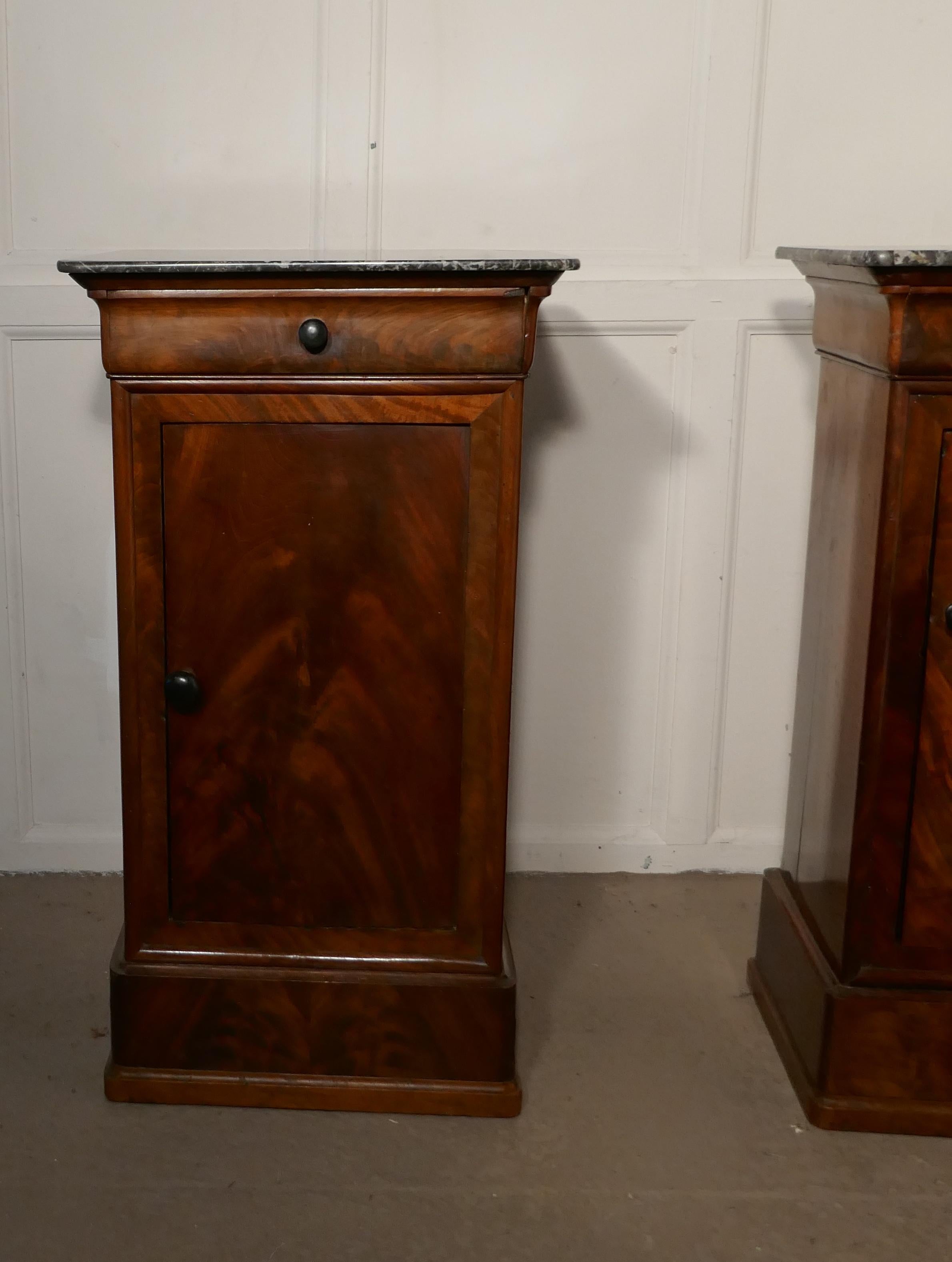 19th Century Pair of Figured Mahogany Bedside Cupboards