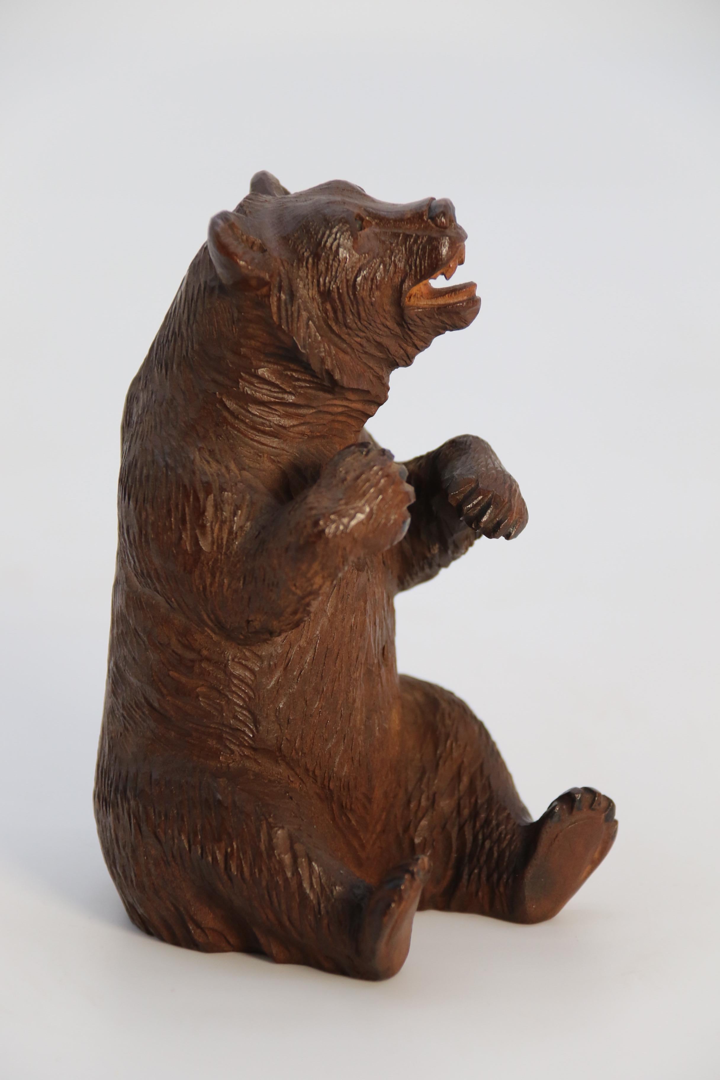 A pair of fine Black Forest hand carved linden wood bears, Swiss circa 1900 For Sale 5