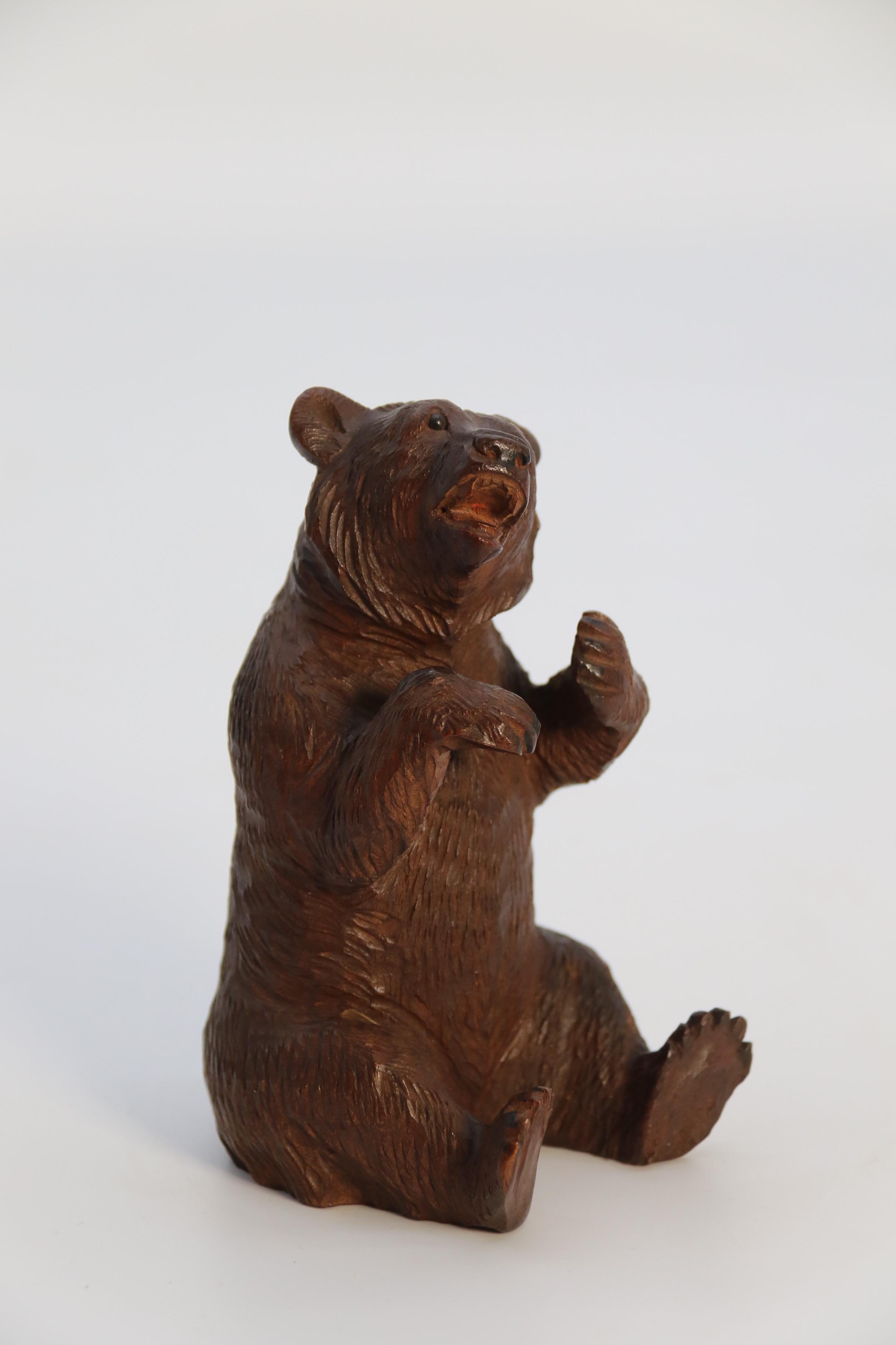 A pair of fine Black Forest hand carved linden wood bears, Swiss circa 1900 For Sale 8