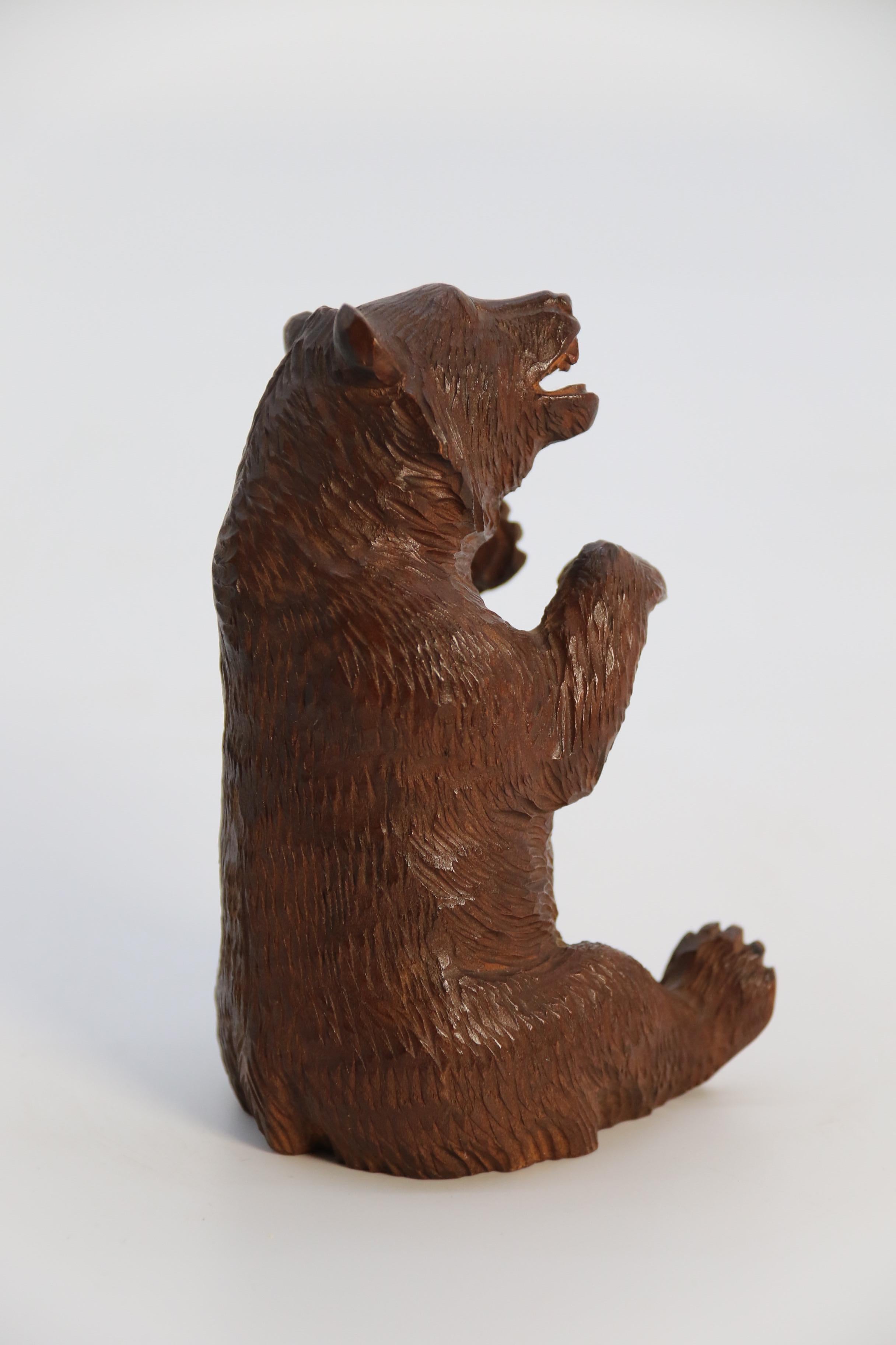 A pair of fine Black Forest hand carved linden wood bears, Swiss circa 1900 For Sale 10