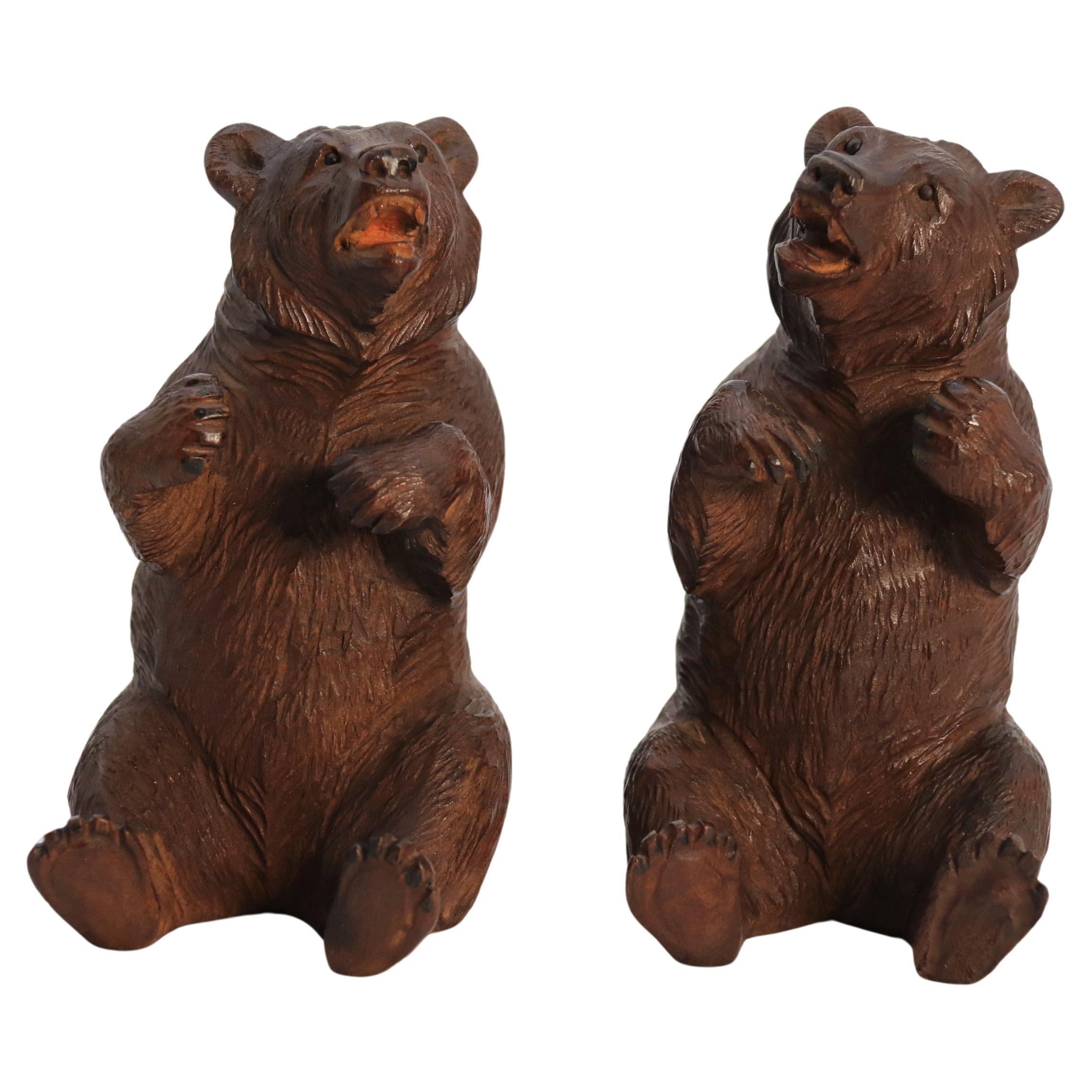 A pair of fine Black Forest hand carved linden wood bears, Swiss circa 1900 For Sale