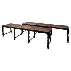 A pair of fine South Indian coromandel benches