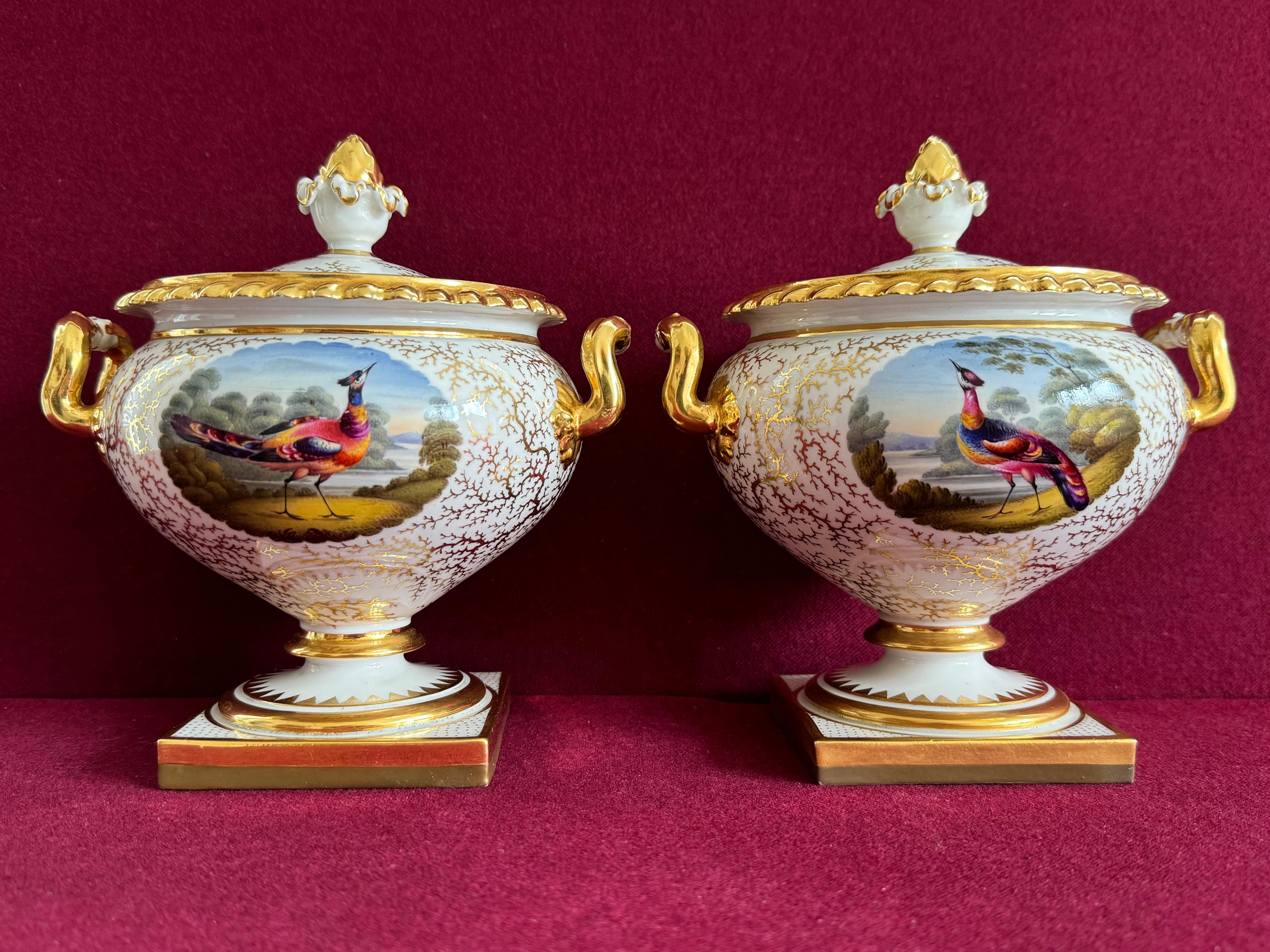 Soperas de crema de porcelana de Flight, Barr & Barr Worcester c.1820. Con borde dorado y fondo dorado de algas. El pozo central circular está pintado con una viñeta en esmaltes brillantes con un pájaro exótico sobre un paisaje fluvial, a la manera