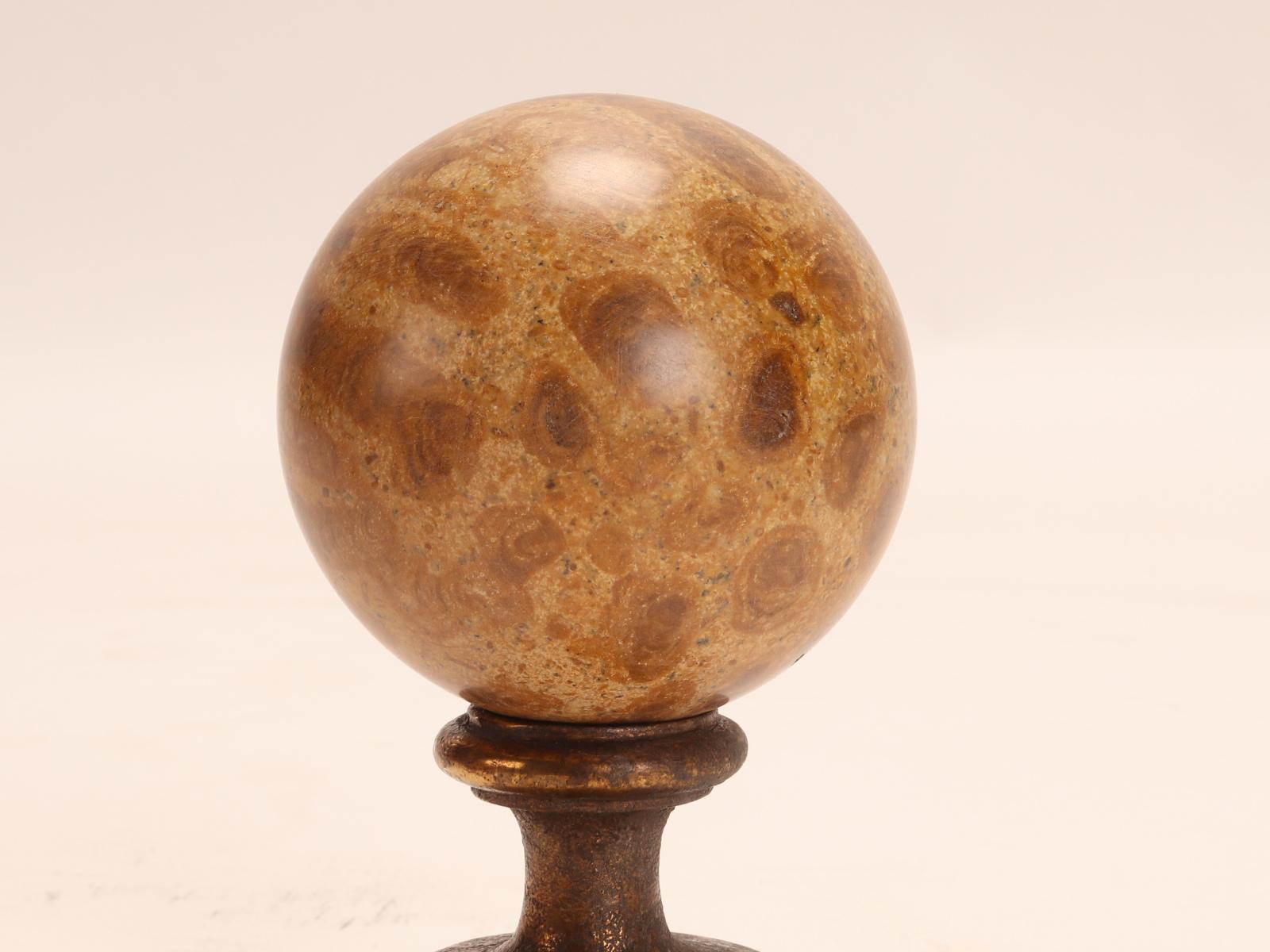 Pair of Fossil Coral Stone Spheres, Italy, 1870 For Sale 4