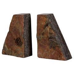 Pair of Fossilized Crinoid Stone Bookends