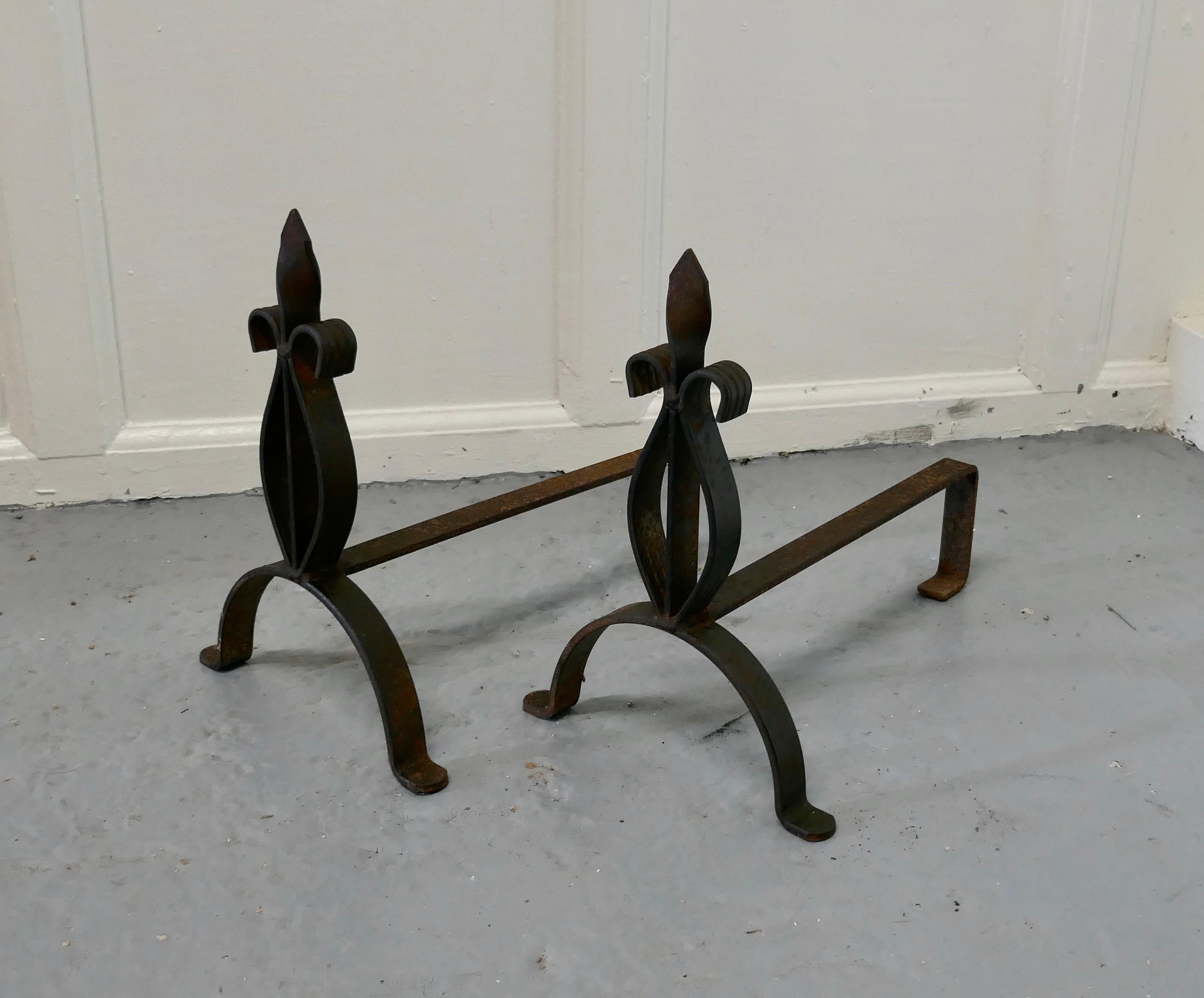 Pair of French 19th Century Iron Andirons or Fire Dogs 1