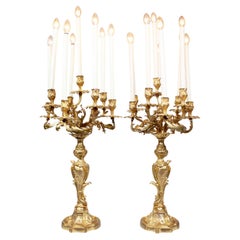 Antique A Pair of French 19th Century Louis XV Style Gilt-Bronze Nine-Light Candelabra
