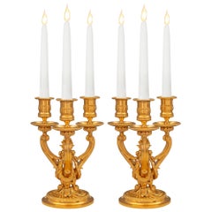 A Pair Of French 19th Century Louis XVI St. Ormolu Candelabras