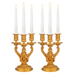 A Pair Of French 19th Century Louis XVI St. Ormolu Candelabras