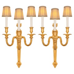 Pareja de apliques franceses de Ormolu del siglo XIX, estilo Luis XVI