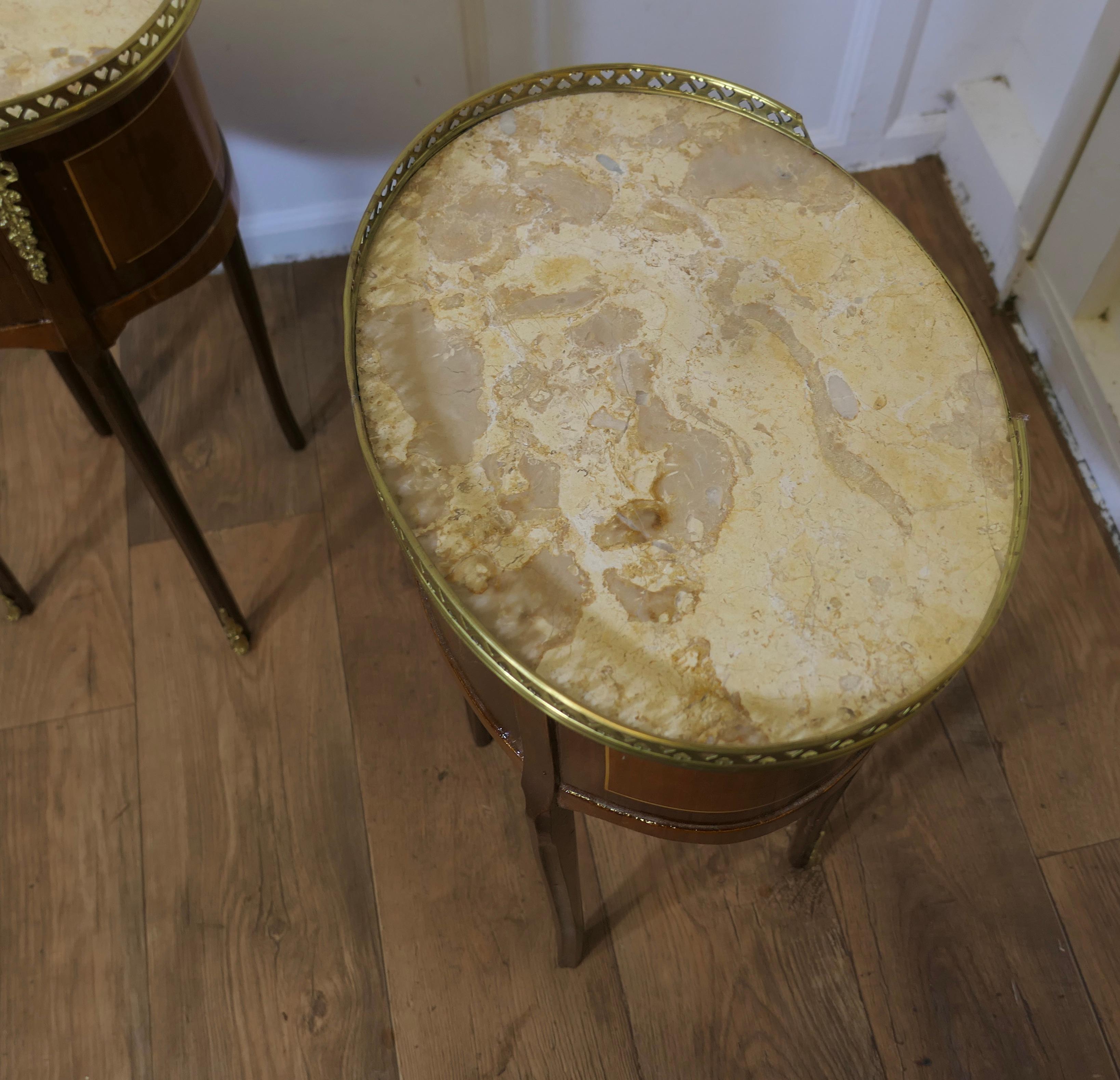 A Pair of French 19th Century Oval Side Tables or Bedside Cabinets For Sale 2