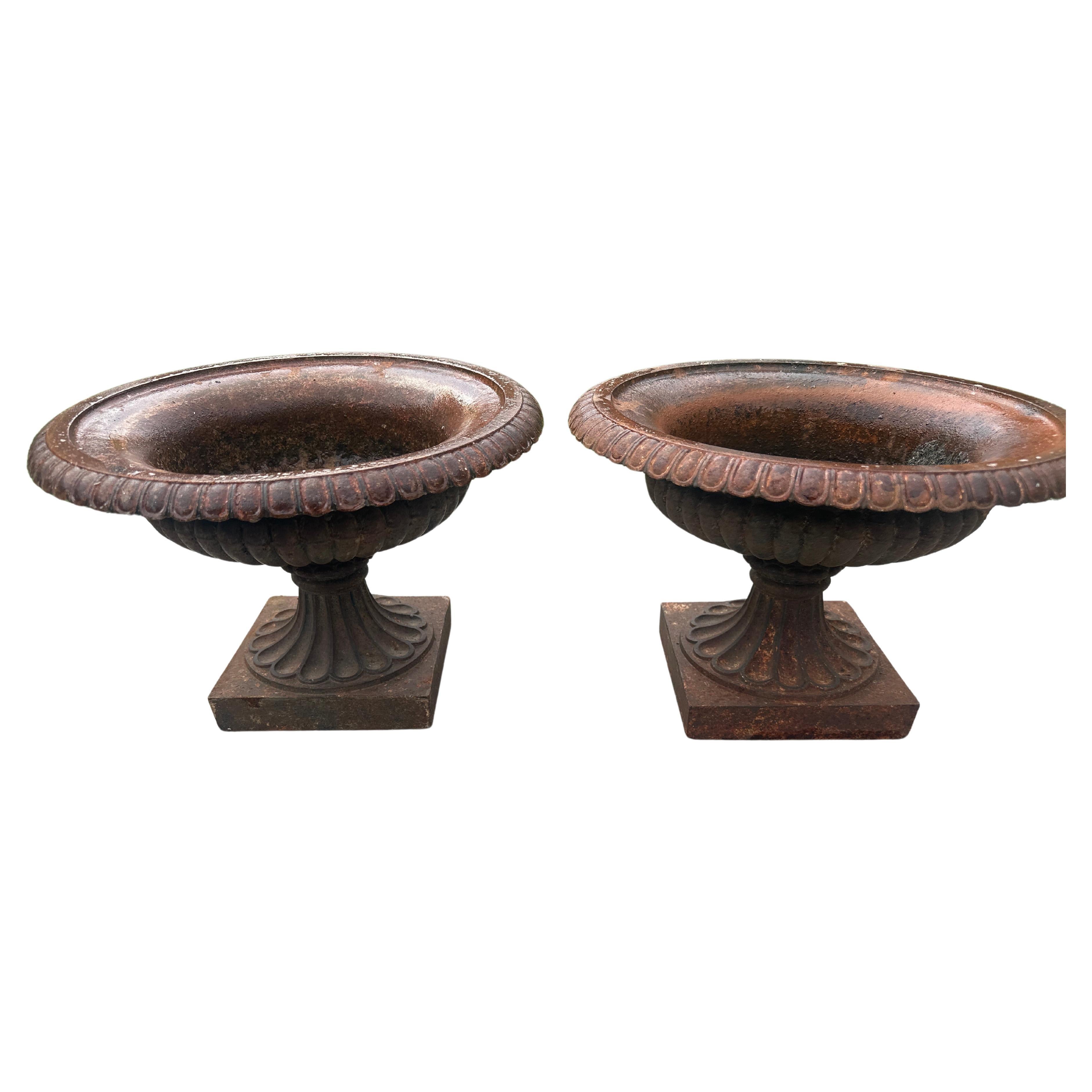 A pair of French campaign urns For Sale