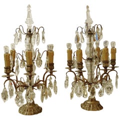 Pair of French Candelabra / Girandoles-Crystal and Bronzed Brass