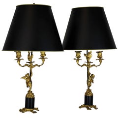 Pair of French Gilt Bronze Candelabra as Lamps