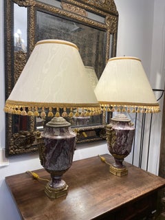 A Pair of French Ormolu Mounted Rouge Marble Lamps, 18th Century