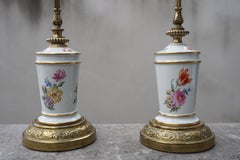 A Pair of French Porcelain and brass Floral Lamps