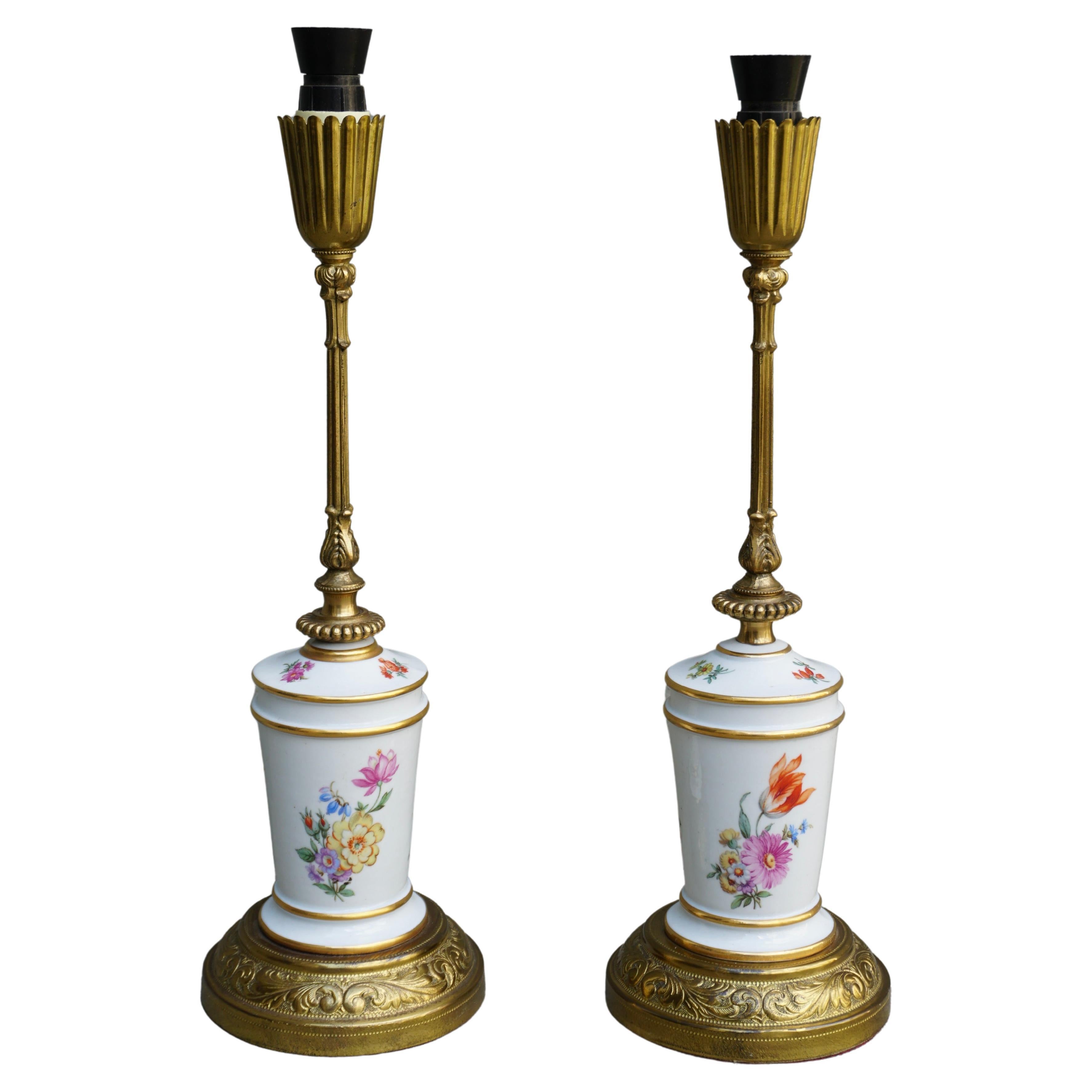 A Pair of French Porcelain and brass Floral Lamps For Sale