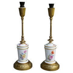 Coppia di lampade floreali francesi in porcellana e ottone