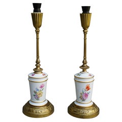 Paire de lampes florales en porcelaine et laiton