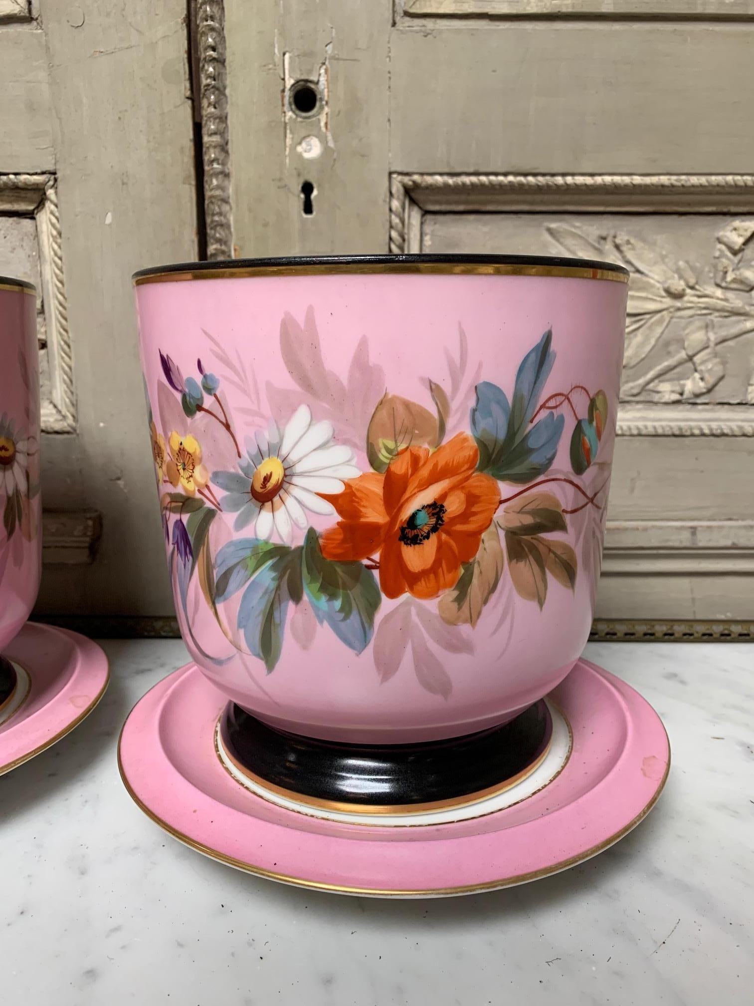 A  beautiful pair of French  porcelain Napoleon III cashpots on stands. The pink and white jardinieres / planters have a black and gold trim on the base and ring of the pots and are wonderfully decorated with floral and foliage among them poppies