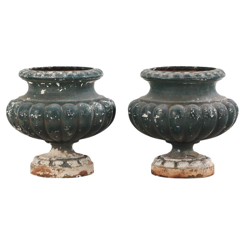 A pair of French table top cast iron planter urns, C. 1910. For Sale