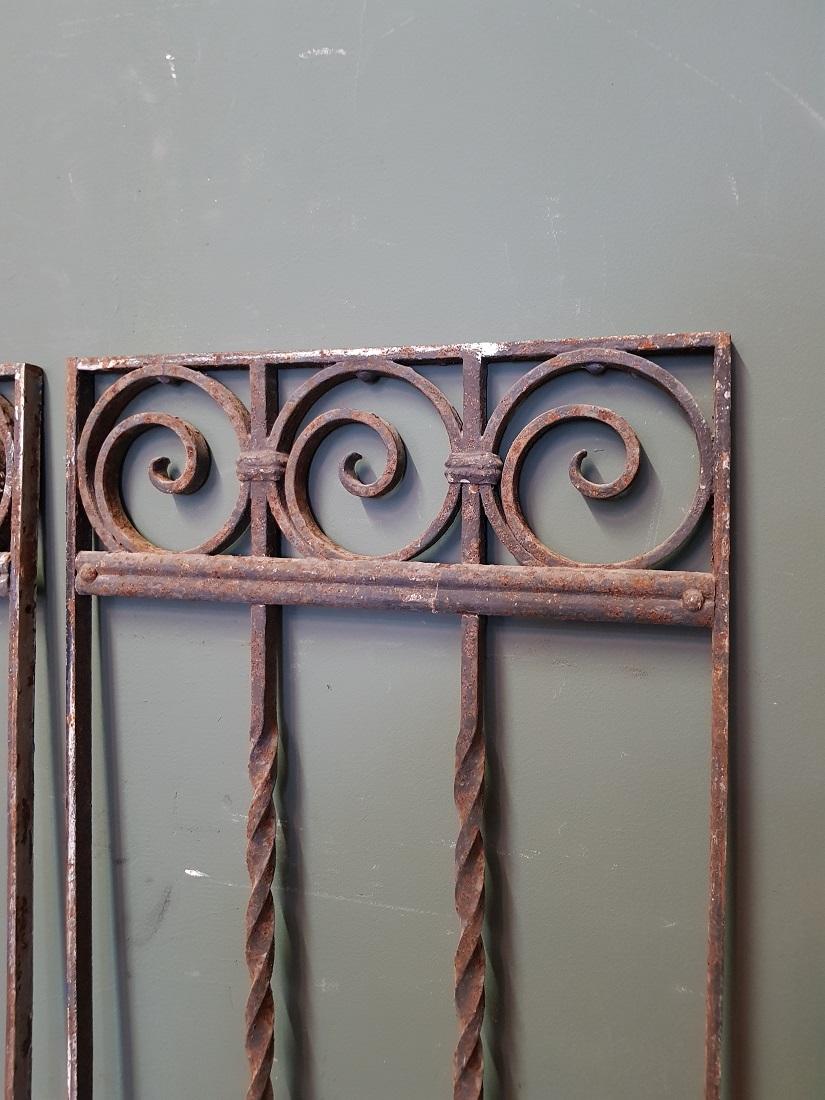 Pair of French Wrought Iron Door Grilles from the 1st Half of the 20th Century 1