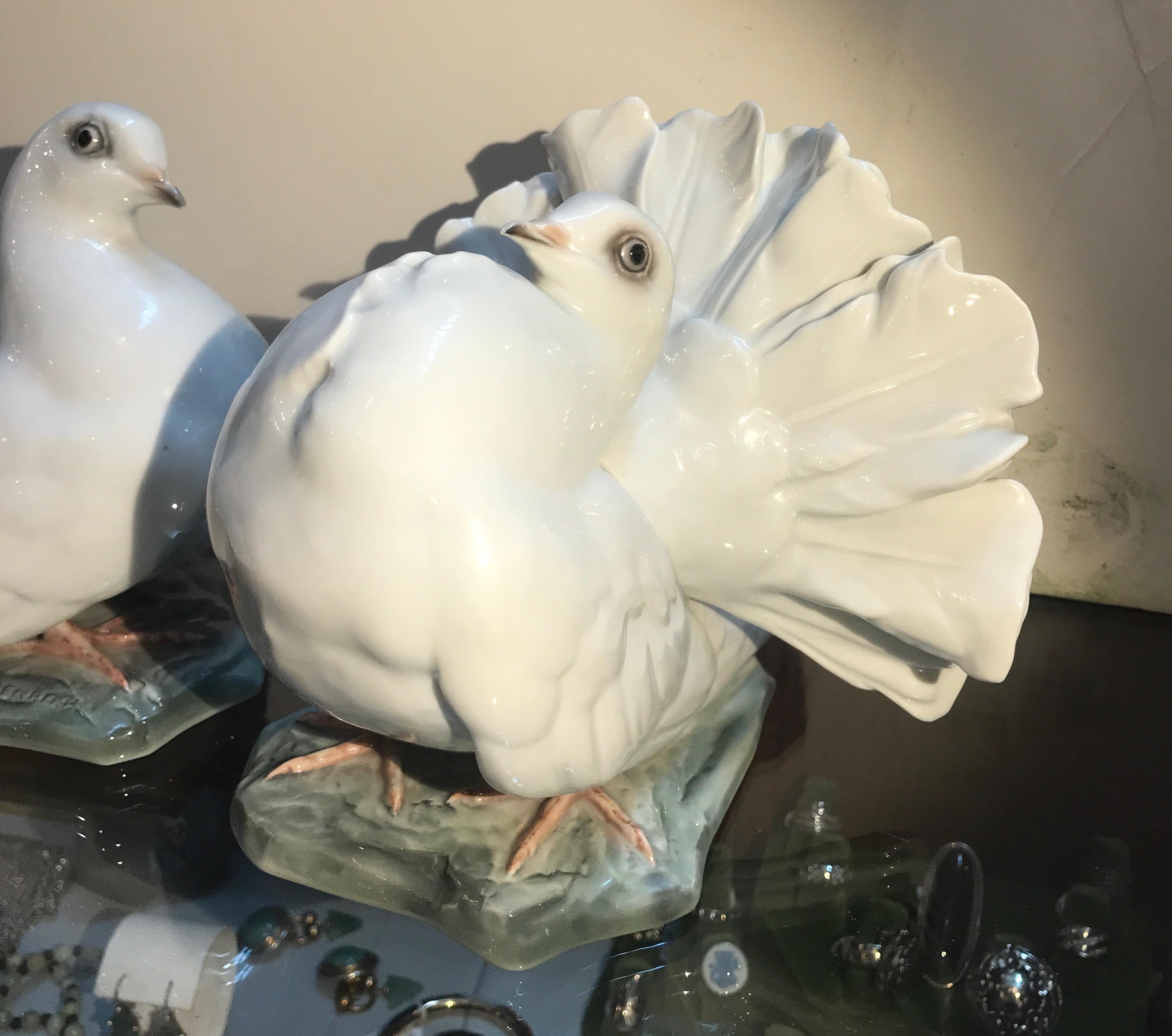 Beautiful pair of Rosenthal white doves made in 1936 by Fritz Heidenreich. One male and one female, the male with puffed chests and beautifully fanned feathers with the slightly smaller female. Fritz Heidenreich (1895-1966), who worked for Rosenthal