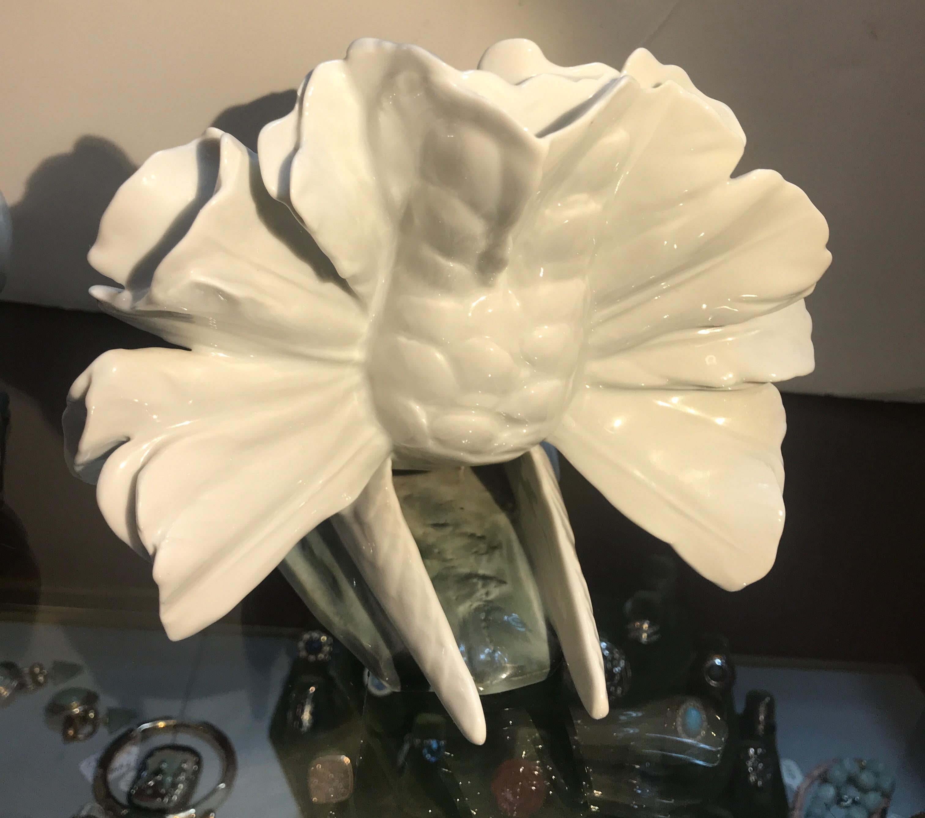 pair of white doves