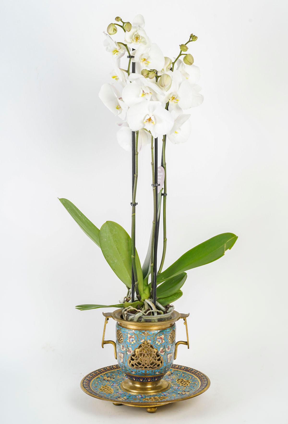 A Pair of Gilt Bronze and Enamelled Goblets or Cache-Pots, Napoleon III Period. For Sale 5