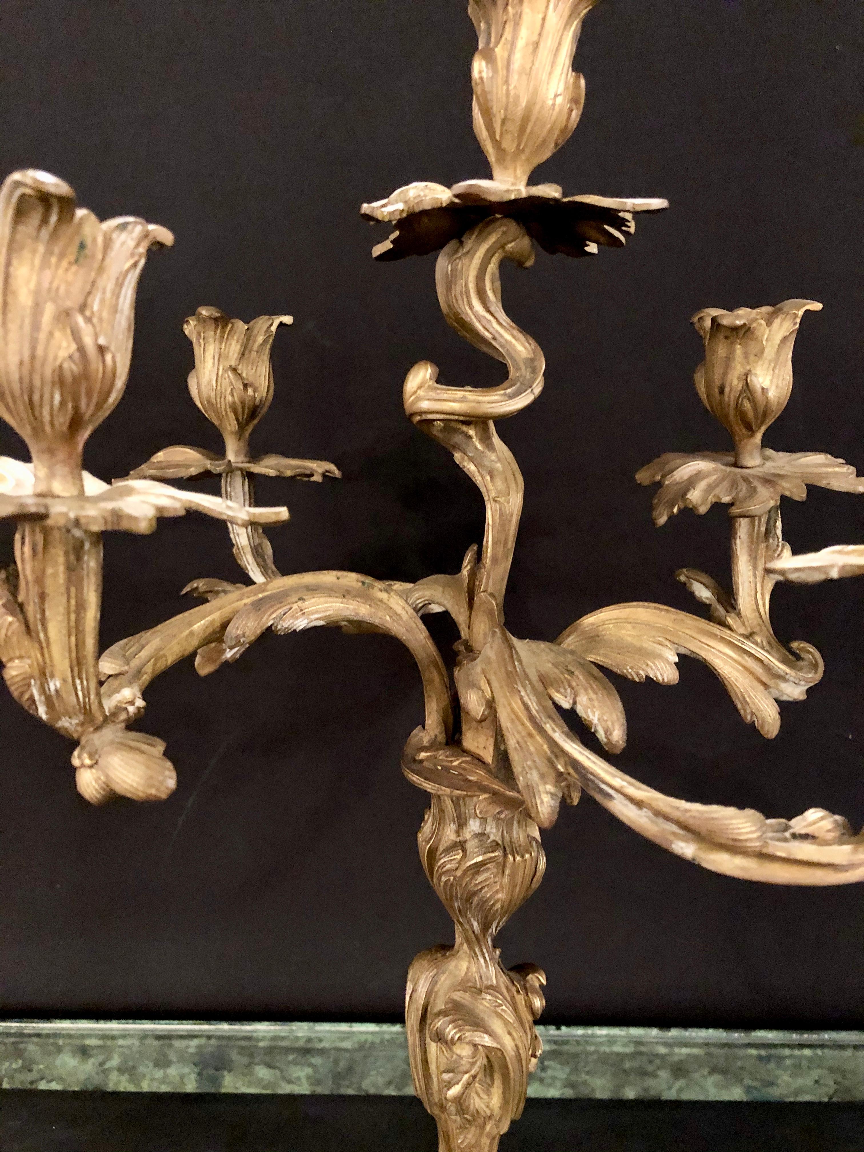 Pair of Gilt Bronze Rococo 19th Century Candelabras / Candlesticks, Five Arms 7