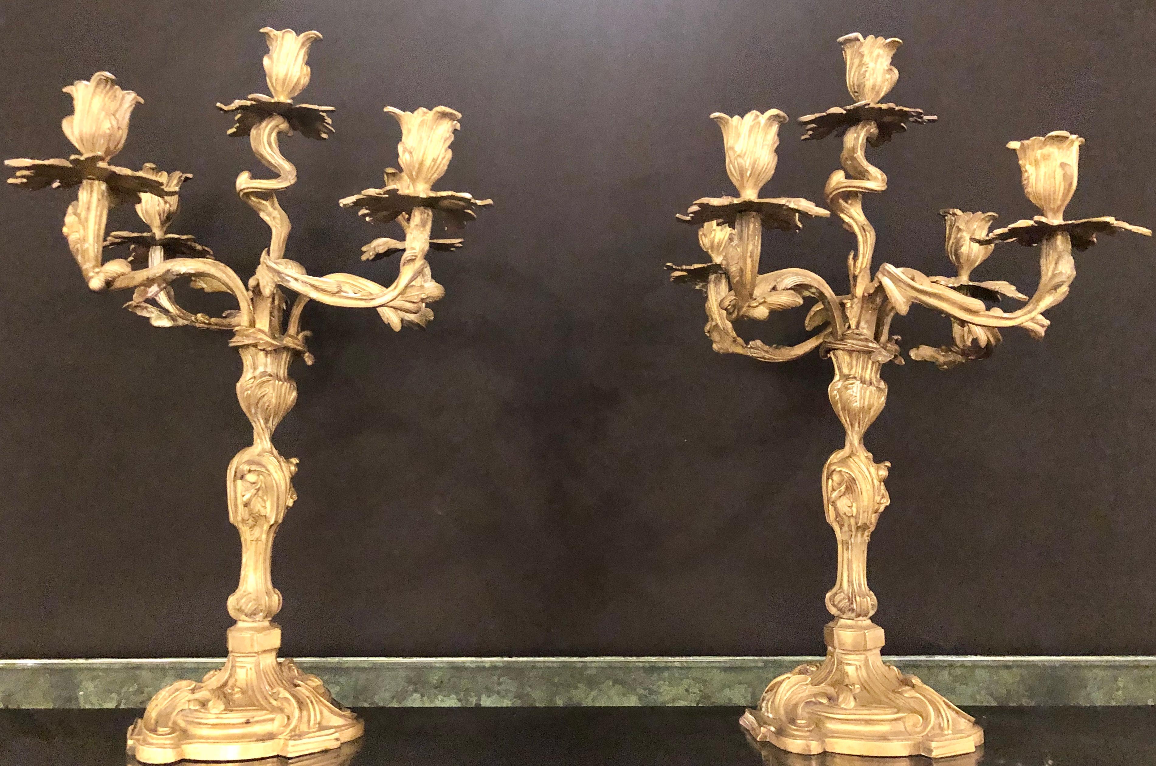 A pair of Italian gilt bronze Rococo 19th century candelabras having five arms. This pair of bronze candelabras or candlesticks are doré bronze fine quality gilded with five candle cups each. These 19th century sculptural candleholders are in the