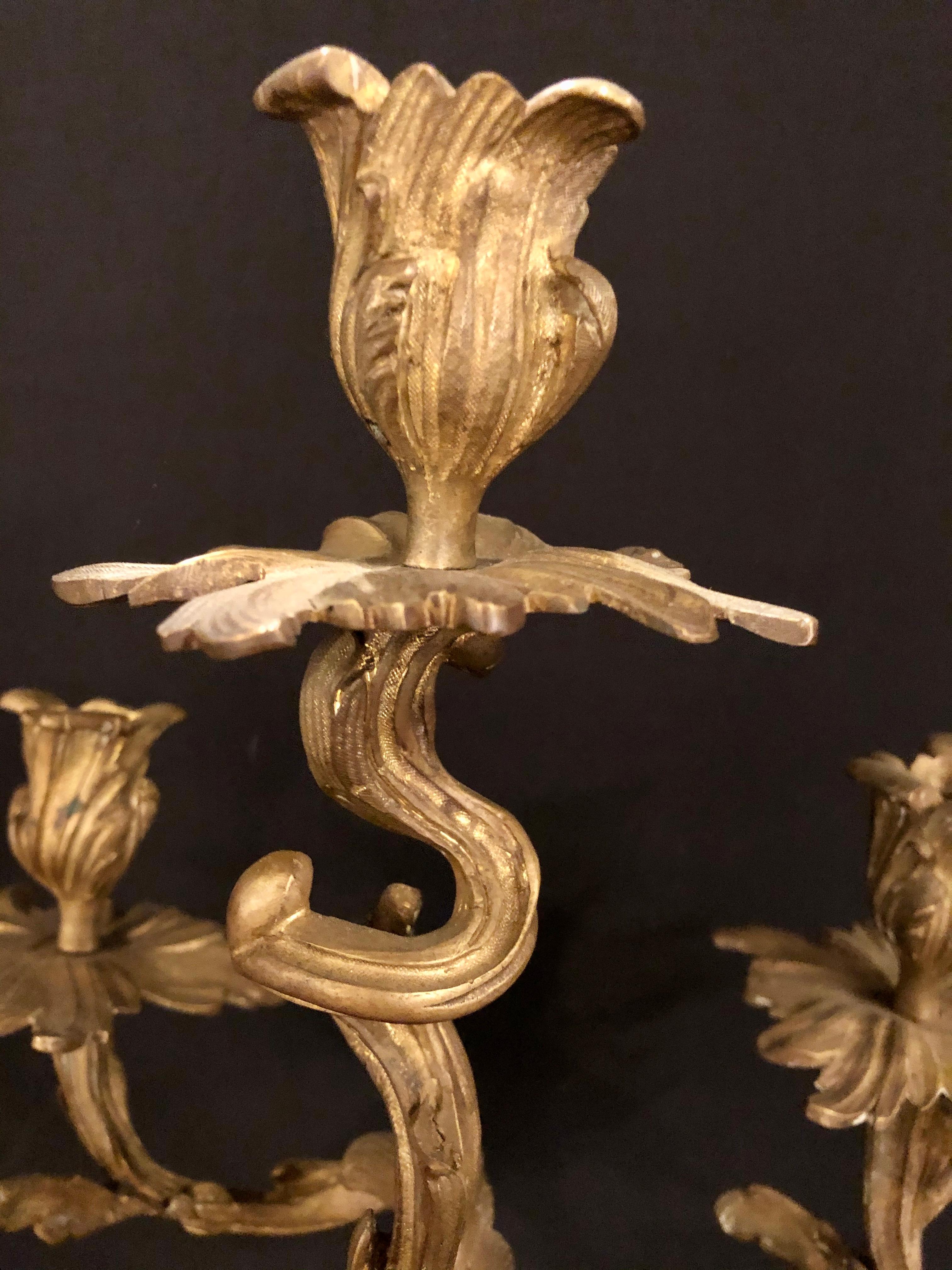 Pair of Gilt Bronze Rococo 19th Century Candelabras / Candlesticks, Five Arms 1