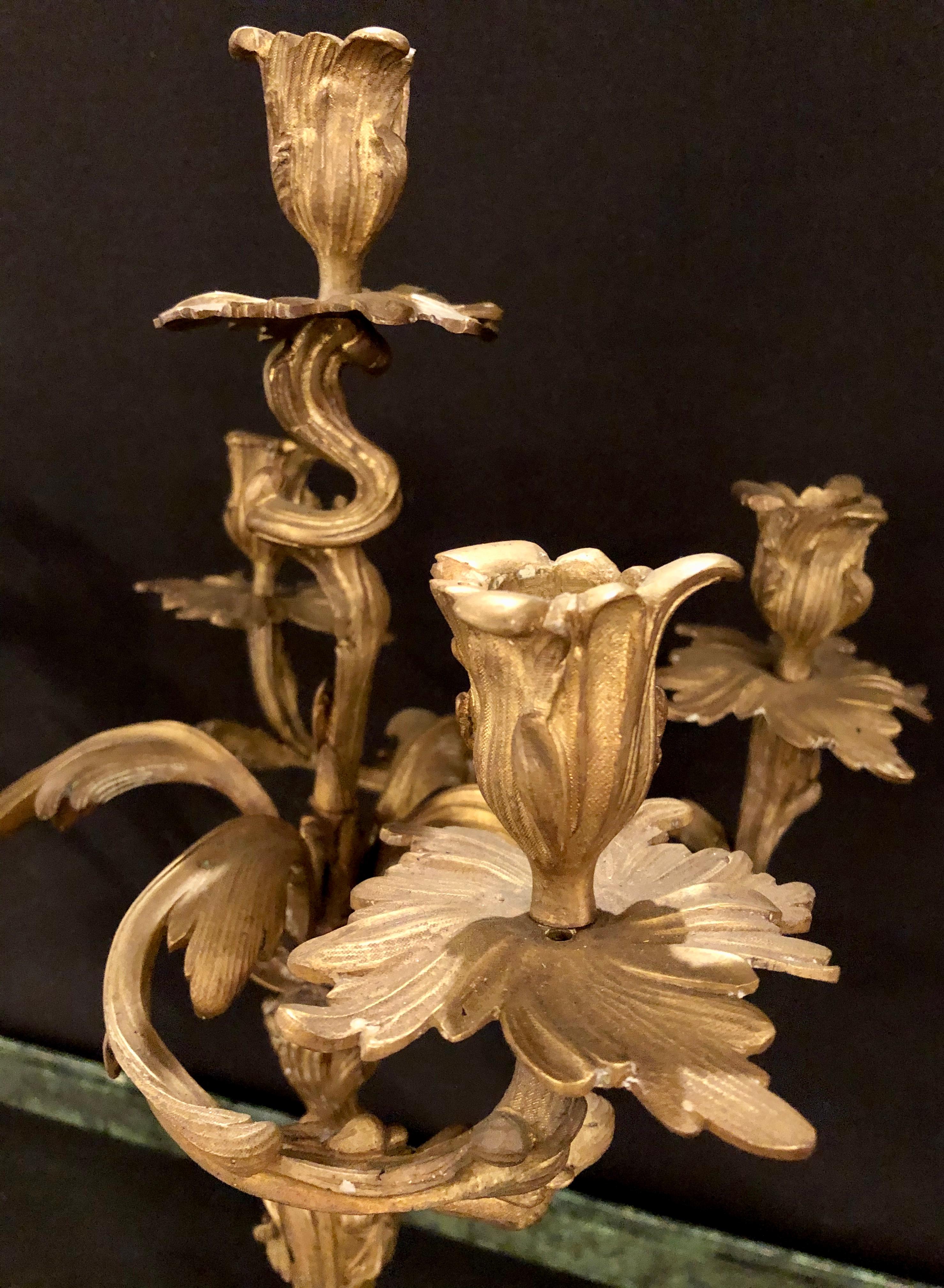 Pair of Gilt Bronze Rococo 19th Century Candelabras / Candlesticks, Five Arms 2