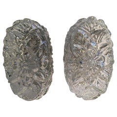Pair of Glass Flower Form Sconces RZB Leuchten, Germany, 1960s