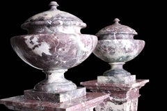 Pair of Grand Marble Urns on Column Plinths in the Neoclassical Style