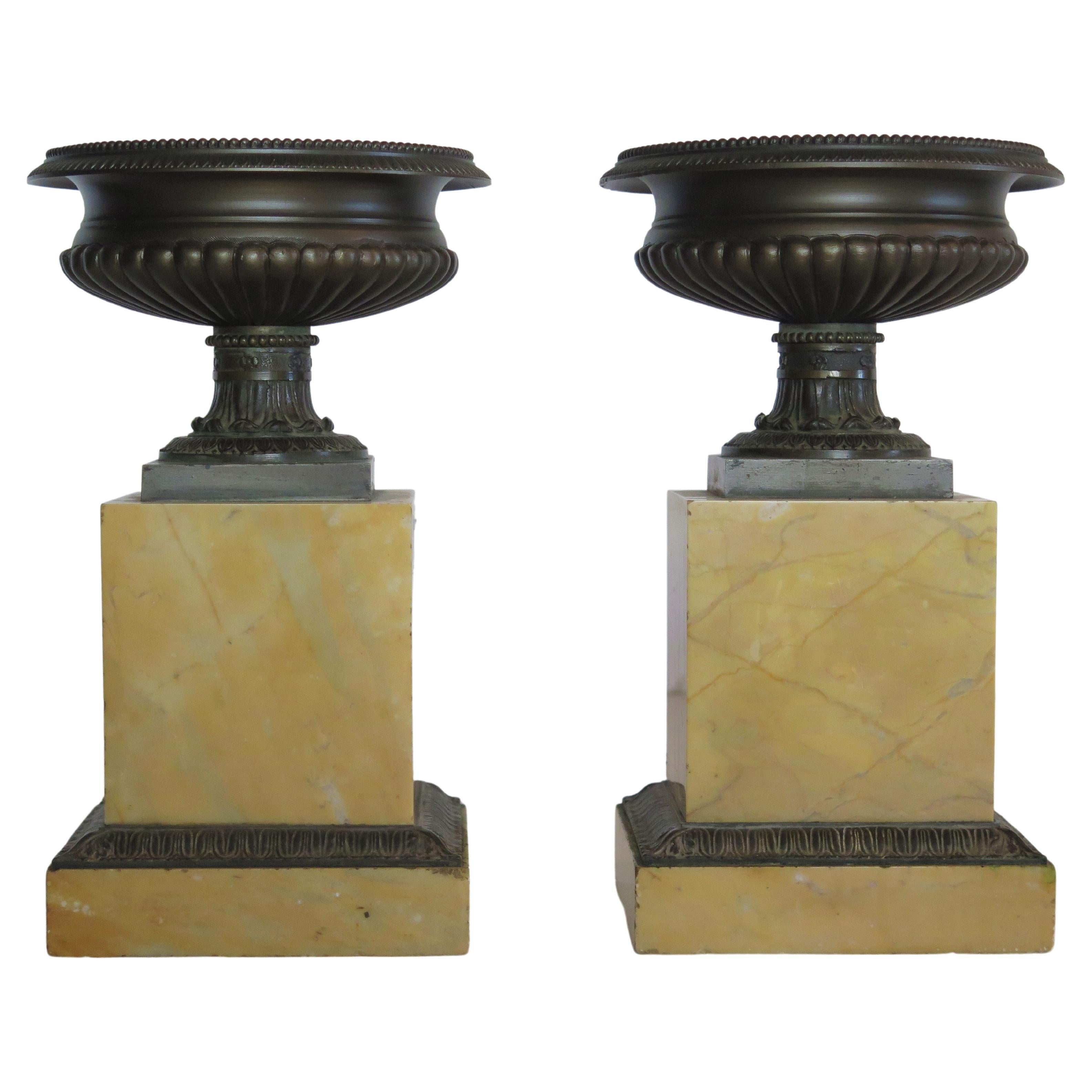 A Pair of Grand Tour Bronze Tazzas on Sienna Marble Plinths For Sale 4
