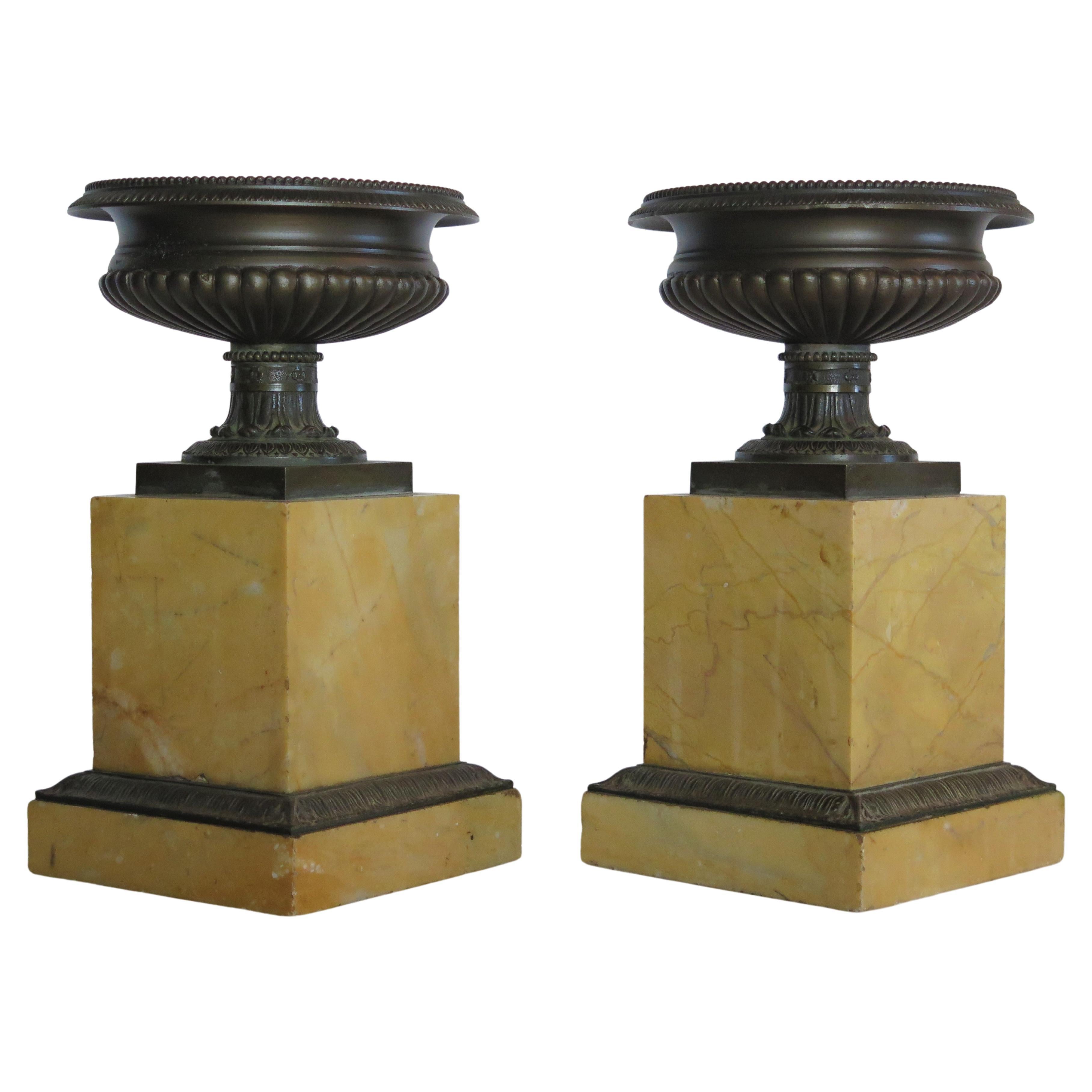 A pair of Grand Tour bronze tazzas raised on stepped sienna marble plinths and mounted on sienna marble bases with bronze molding. Circa 1820, Italy.
