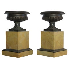 A Pair of Grand Tour Bronze Tazzas on Sienna Marble Plinths