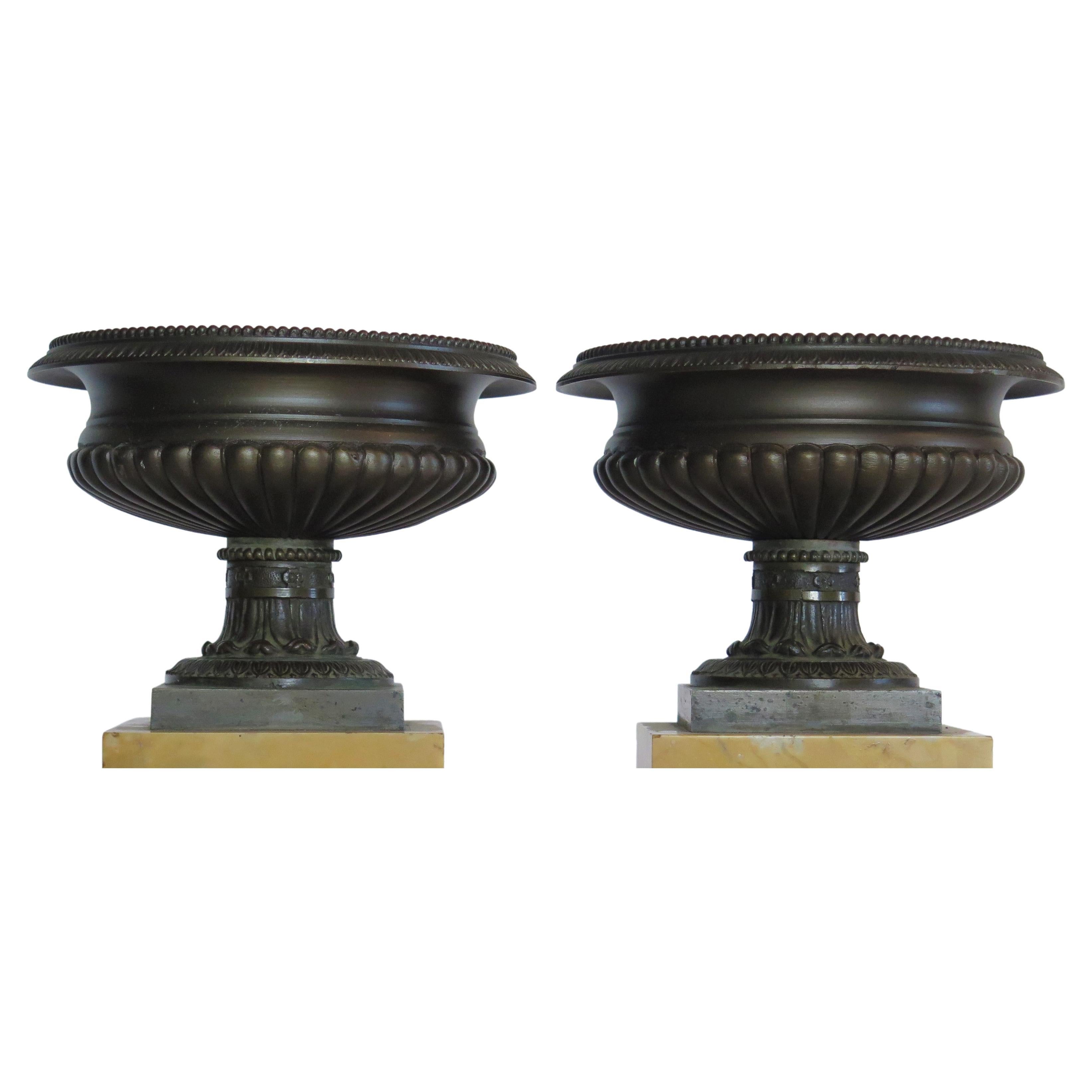 Italian A Pair of Grand Tour Bronze Tazzas on Sienna Marble Plinths For Sale