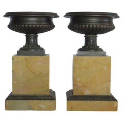 A Pair of Grand Tour Bronze Tazzas on Sienna Marble Plinths