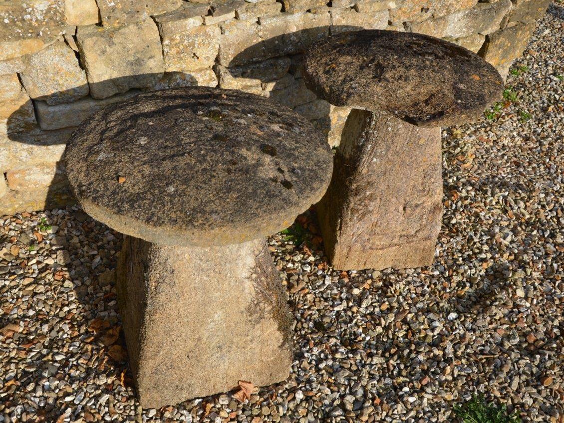 18th Century and Earlier A pair of Ham stone staddle stones For Sale