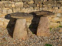 Pair of Ham Stone Staddlestones