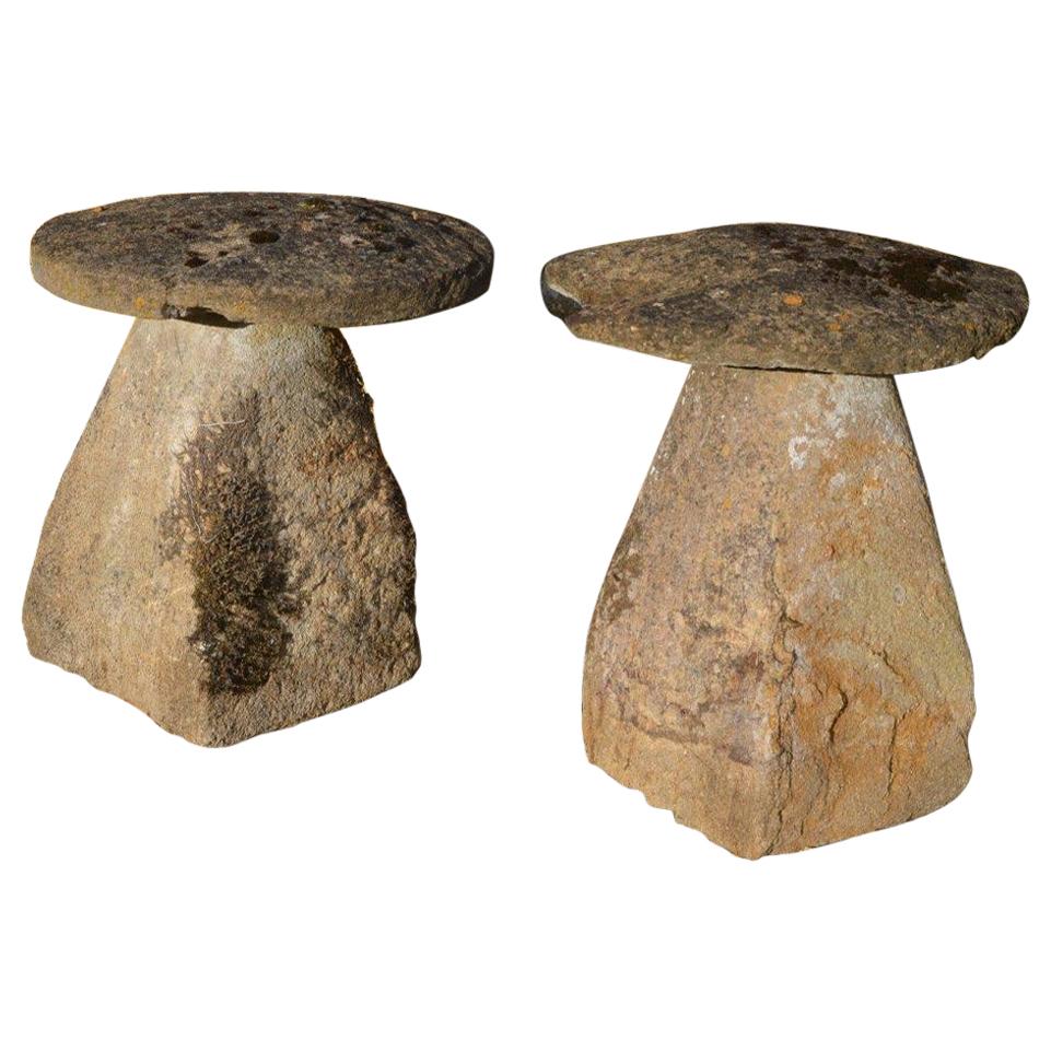 Pair of Ham Stone Staddlestones For Sale