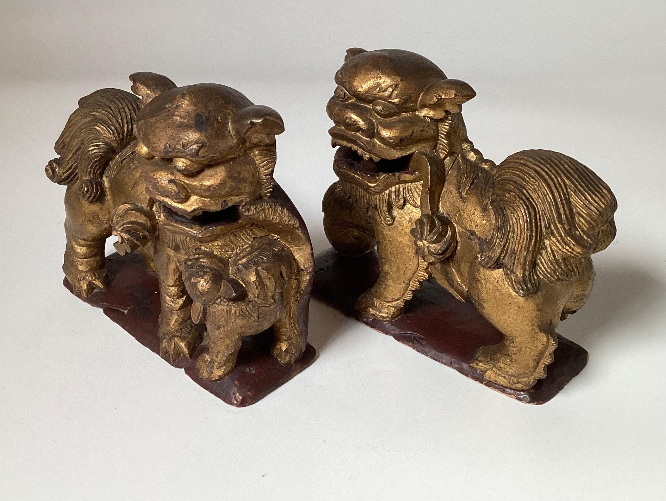 A hand carved pair of male and female Chinese foo dogs, circa 1850.  Each with original gilt with the old remnants of the import stickers.  The male with hairy paw and foot on rattle ball, the female with the baby foo dog. 