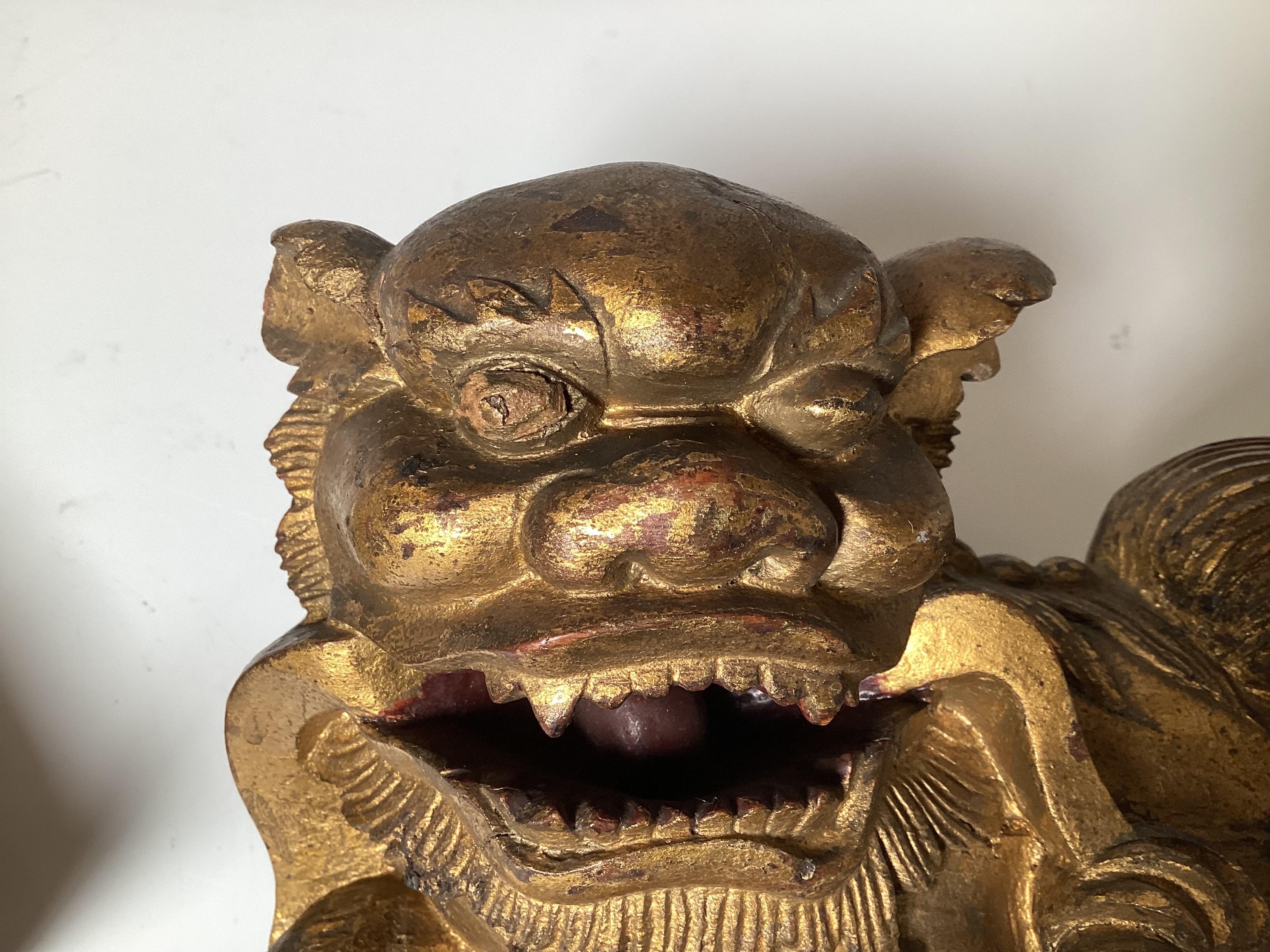 A Pair of Hand Carved Gilt Wood Chinese Export Foo Dogs  For Sale 2