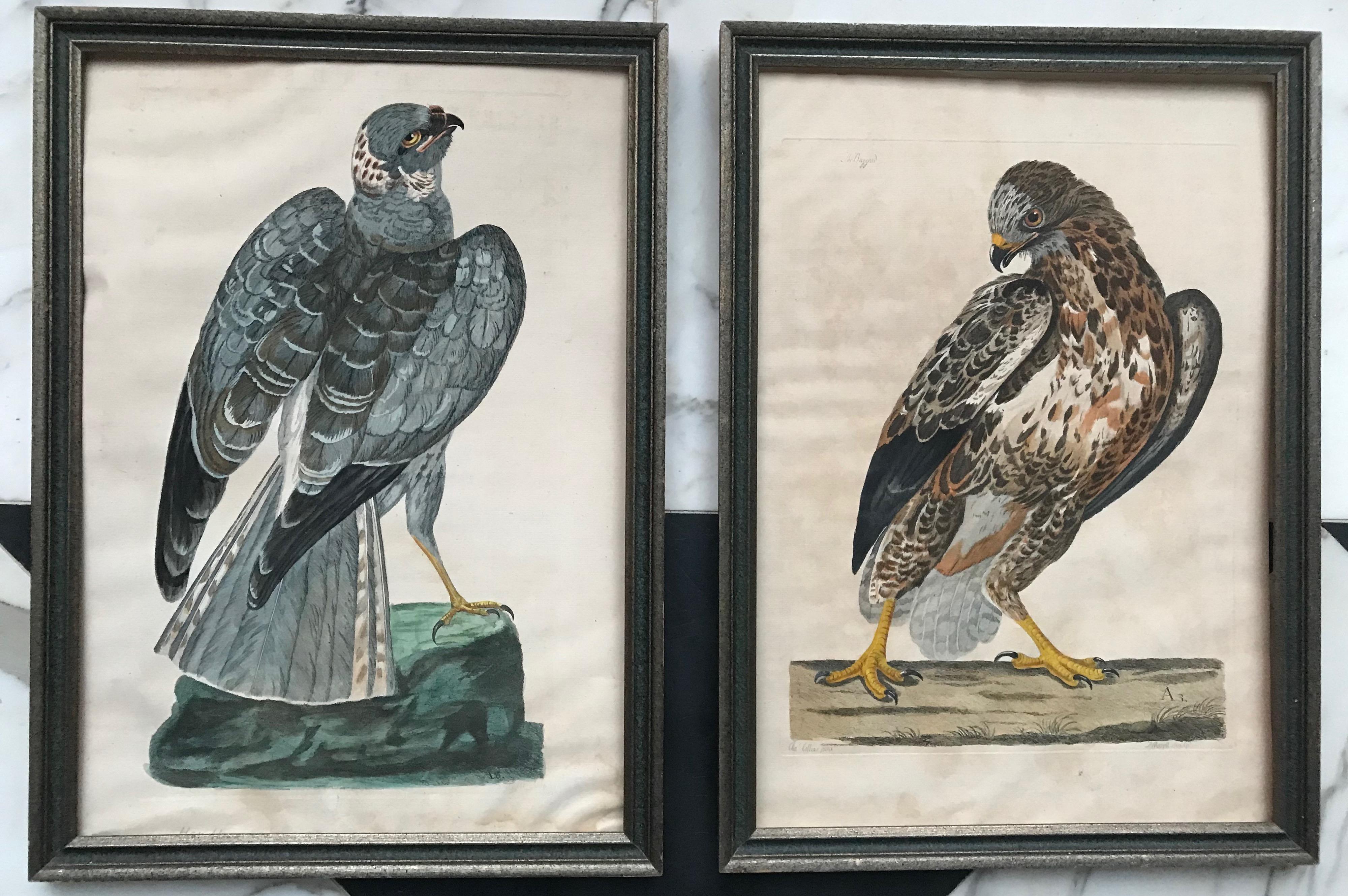 Pair of Hand-Colored Etchings 6